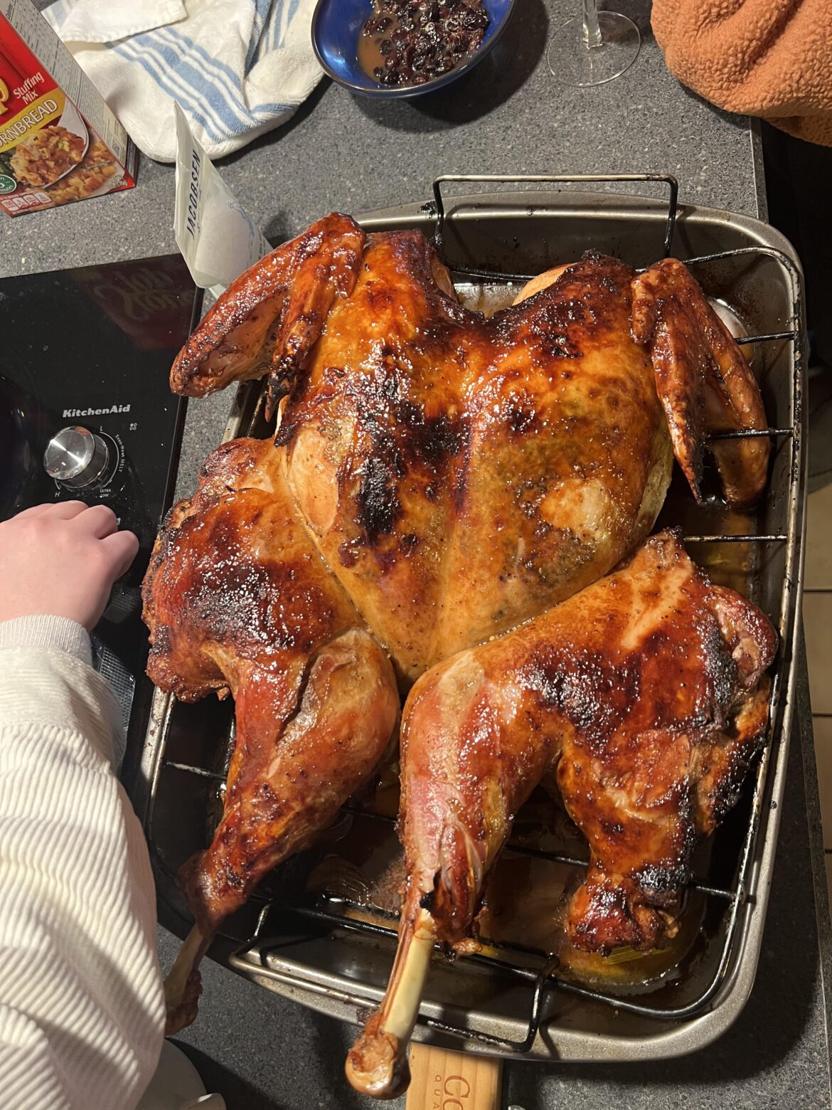 The turkey we roasted this thanksgiving