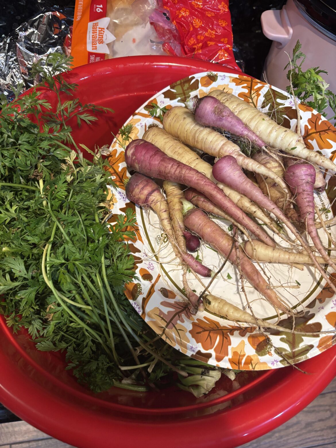 Harvest from mystery carrot seeds that I bred. Can anyone ID what variety they might be? Harvest from mystery carrot seeds that I bred. Can anyone ID what variety they might be?