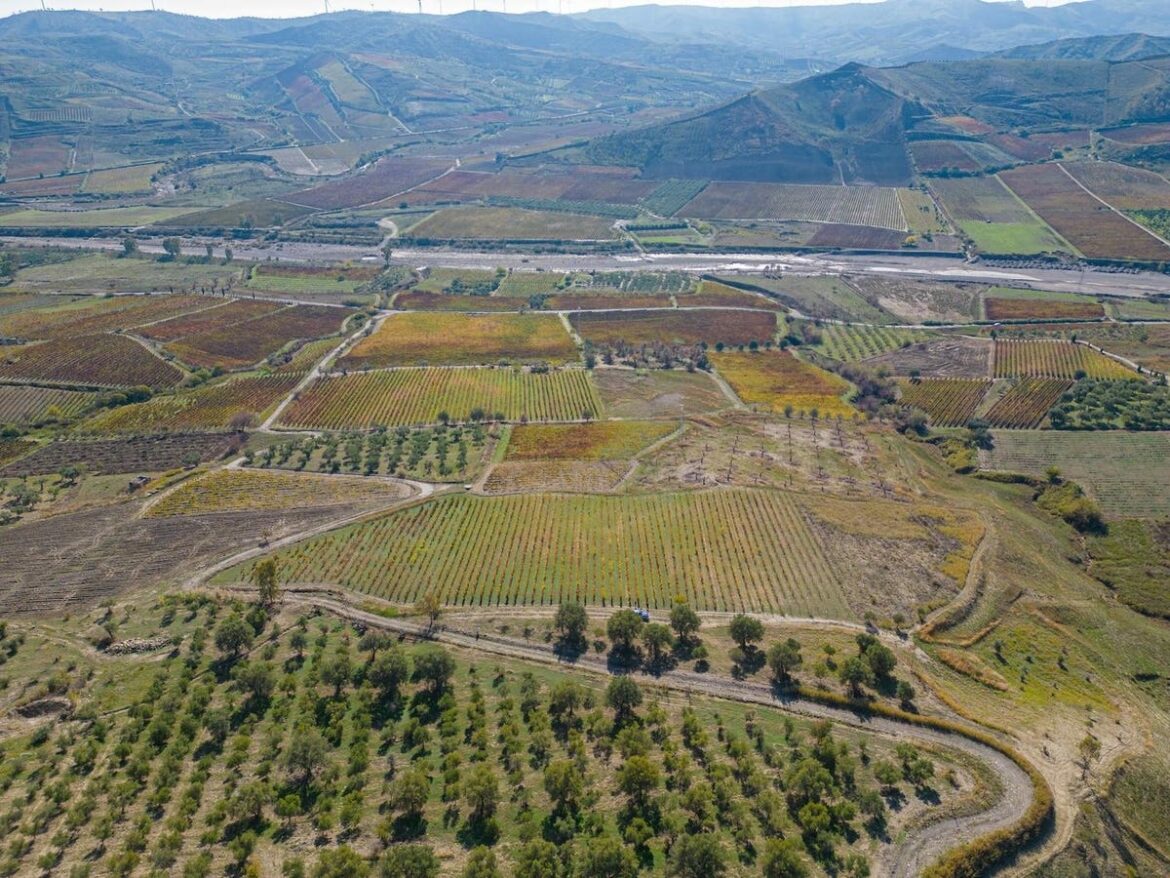 This 2000 Year Old Wine Has Gained Italy’s Top Wine Designation This 2000 Year Old Wine Has Gained Italy’s Top Wine Designation