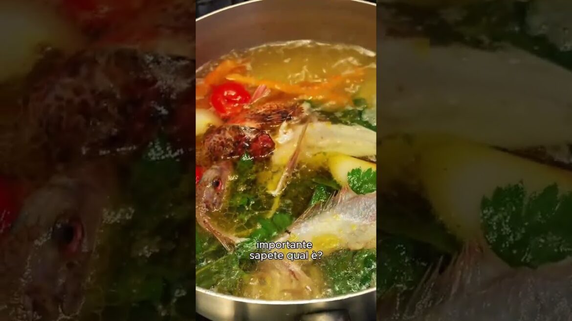 23/10/25 - Le ricette di Assunta Pacifico "A figlia do marenaro": Il brodo di Pesce