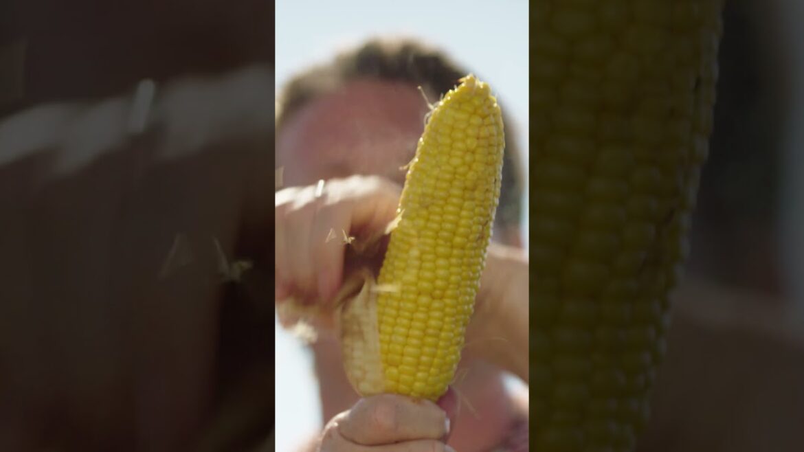 Buttery Halloumi Sweetcorn | That's the Spirit! | Jamie x Weber