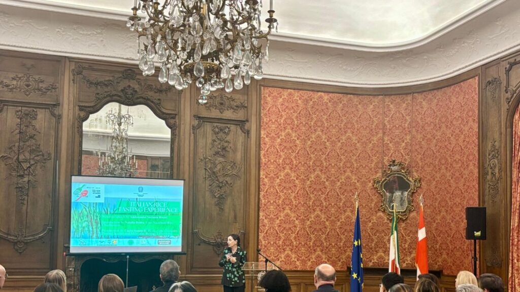 Italian cuisine week in Copenhagen, staging rice - News from Embassies