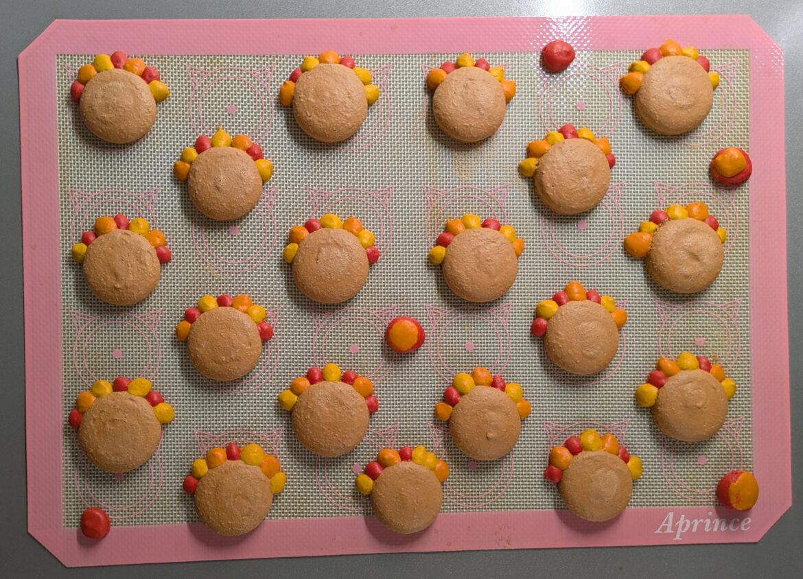 Turkey Macarons