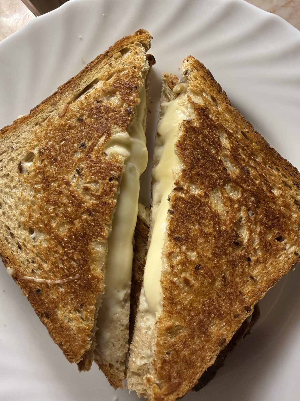 Seed bread + cheddar chronicles continue