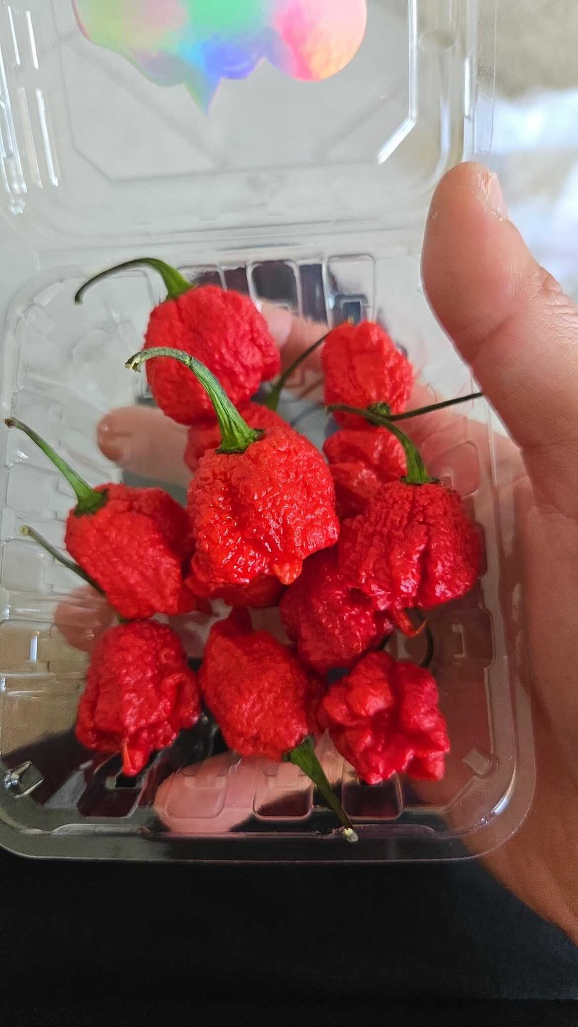 Carolina pepper from grocery store, is it normal size? If i get seed from this will it get bigger pod?