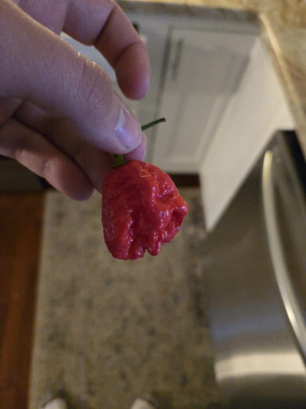 Can anyone help identifying?