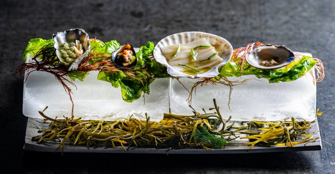 Here Are the San Francisco Bay Area’s Most Anticipated Restaurant Openings of Fall 2025 Here Are the San Francisco Bay Area’s Most Anticipated Restaurant Openings of Fall 2025