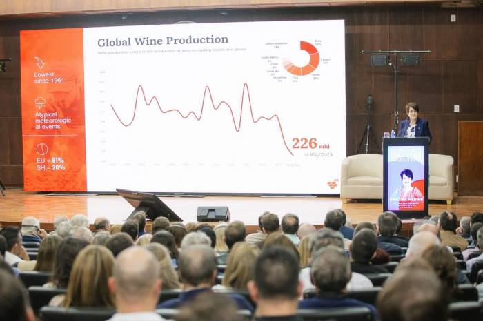 Low-Alcohol Wines Could Reach Four Million Argentine Households as Interest Surges Despite Low Awareness