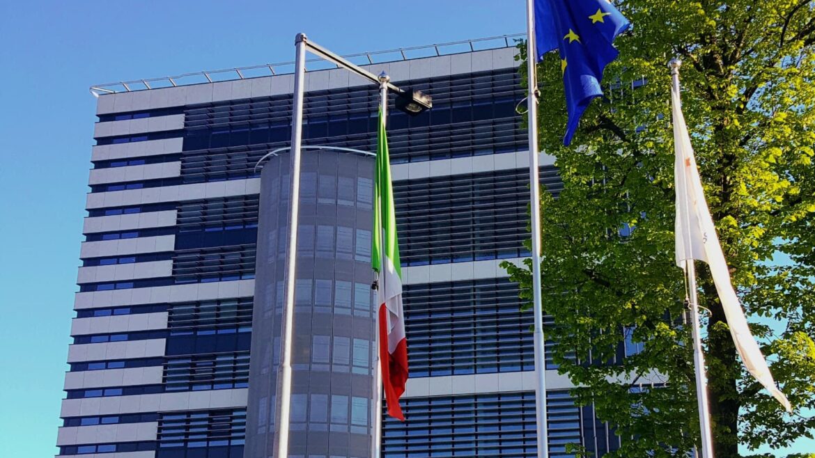 EFSA Panel Rejects Some Olive Oil Polyphenol Health Claims