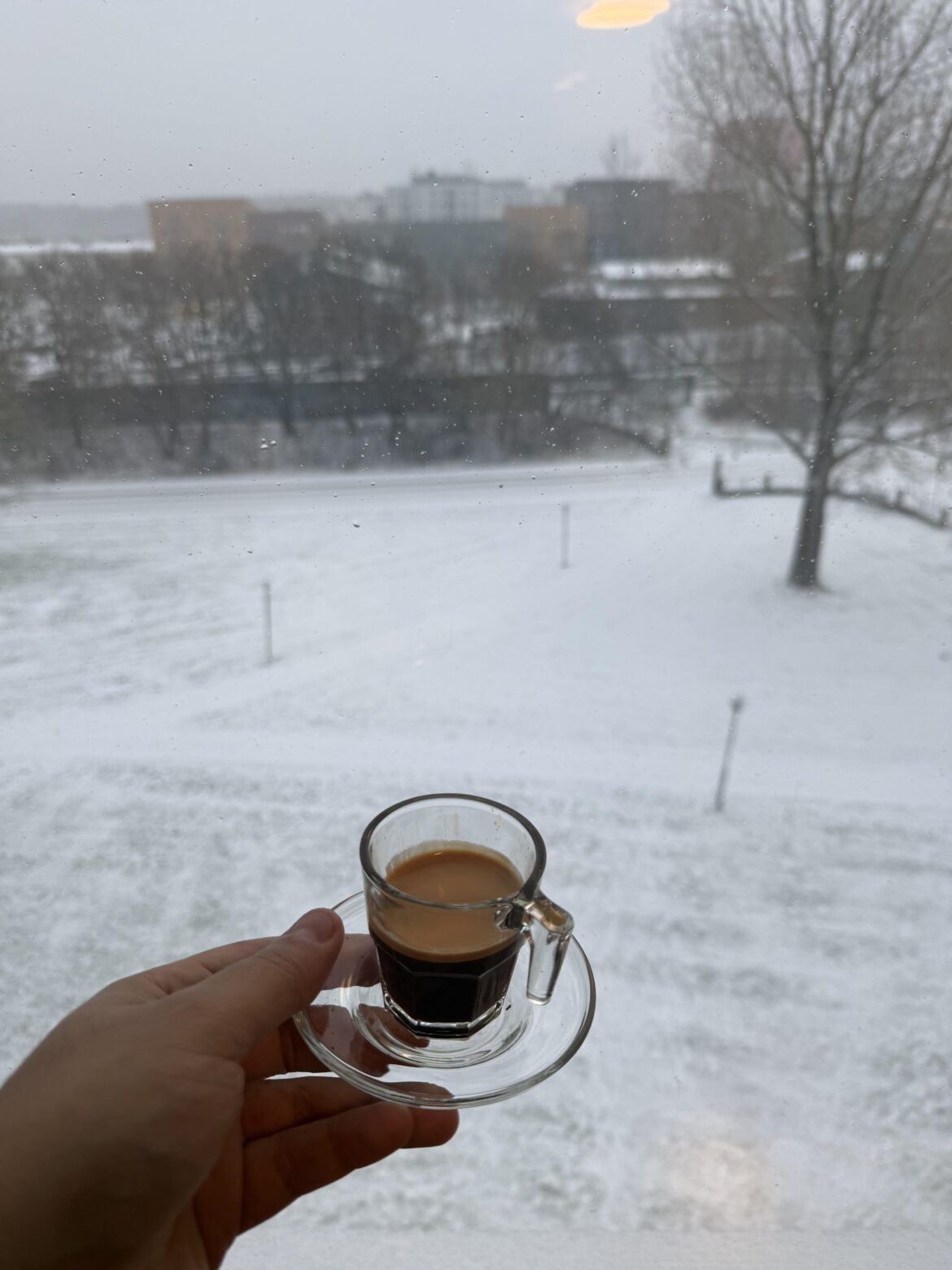 Enjoying the first snow of the season