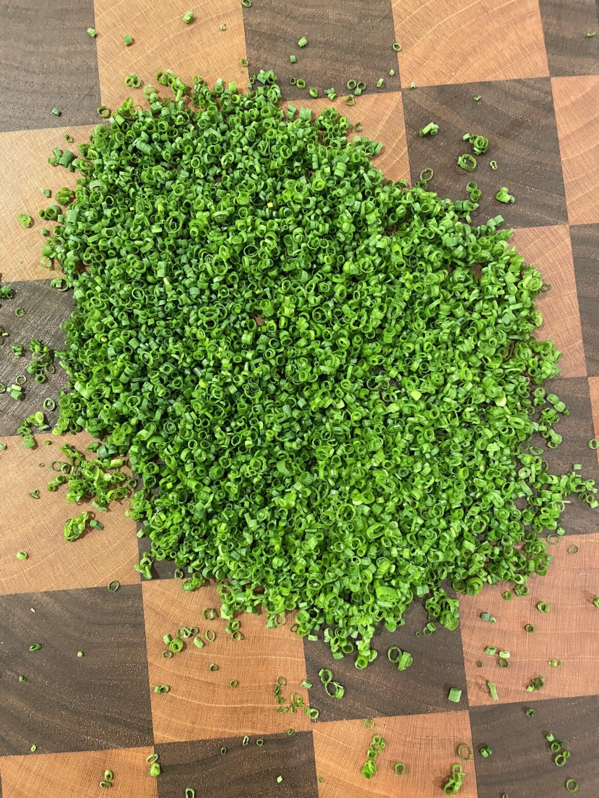 Cutting a couple of chives almost every day until this reddit says they're perfect. Day 49