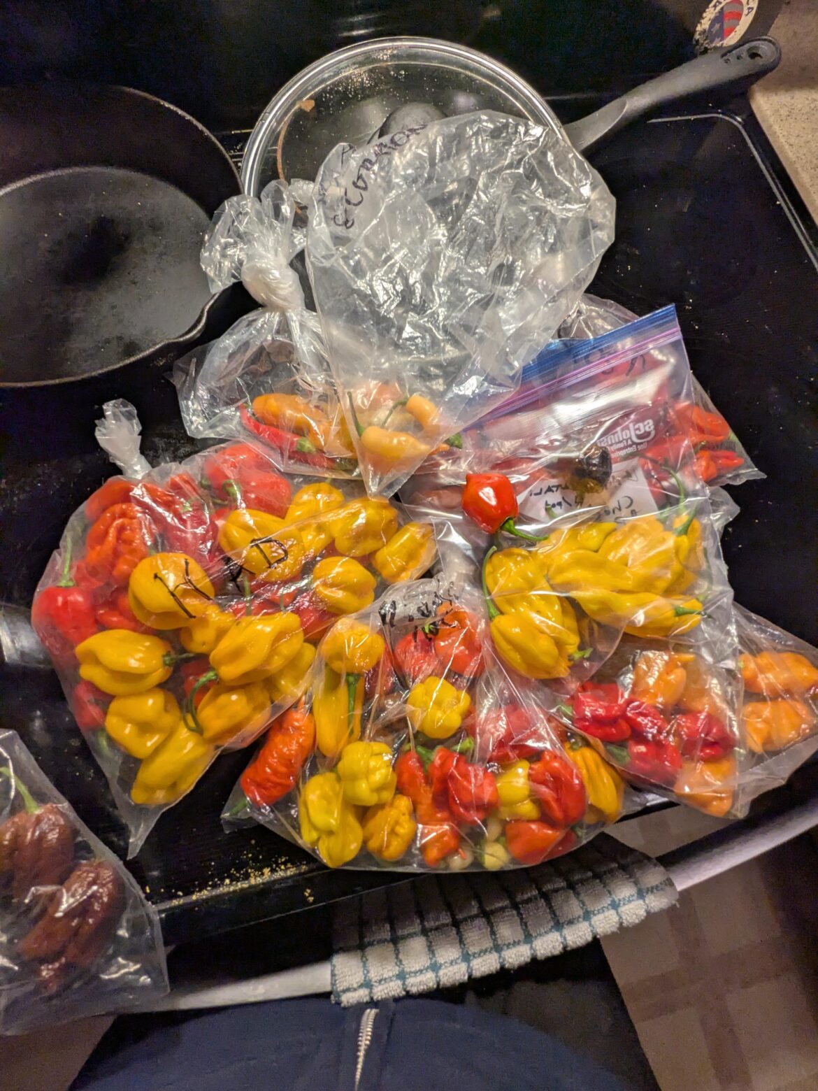 Beginner friendly recipes?