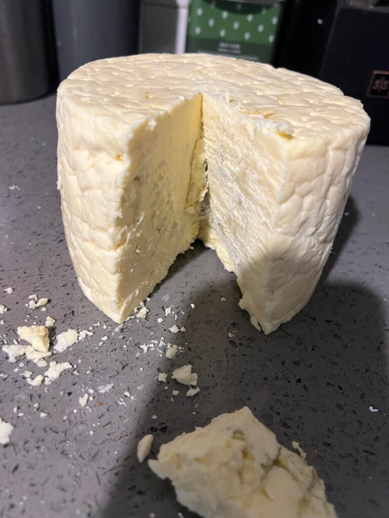 Twin Sisters Creamery Whatcom Blue