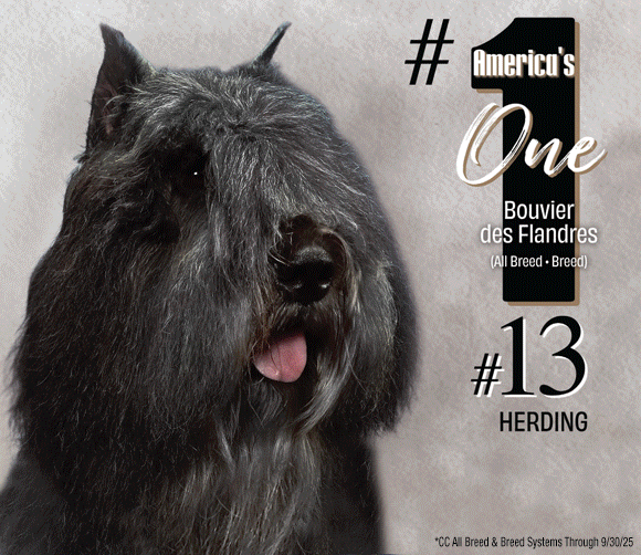 30 Garrison_SR112025_01