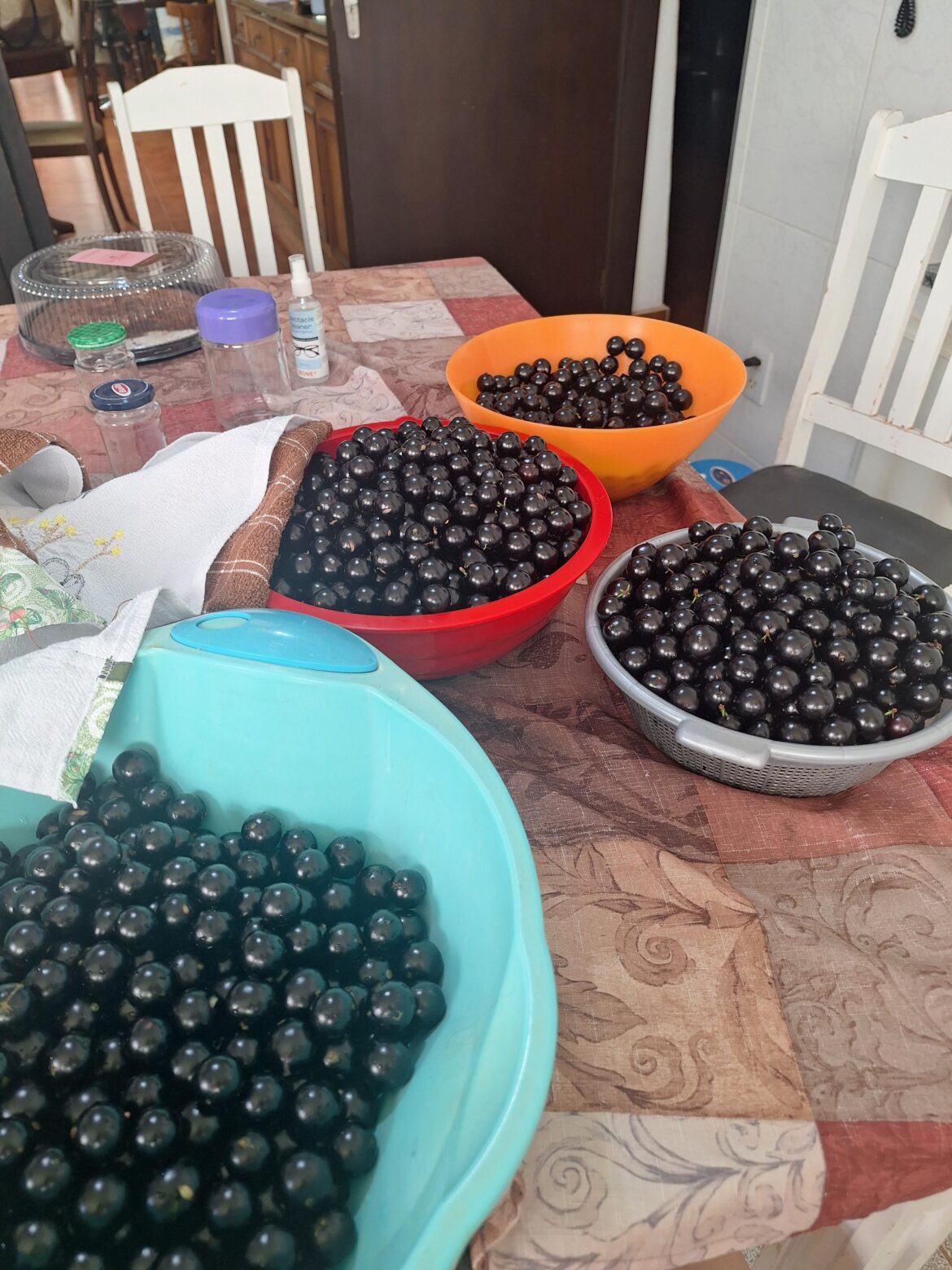 I've started my jelly/jam making journey, and man, I need help