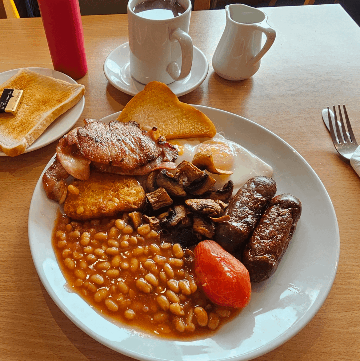 Short time lurker, long time...well