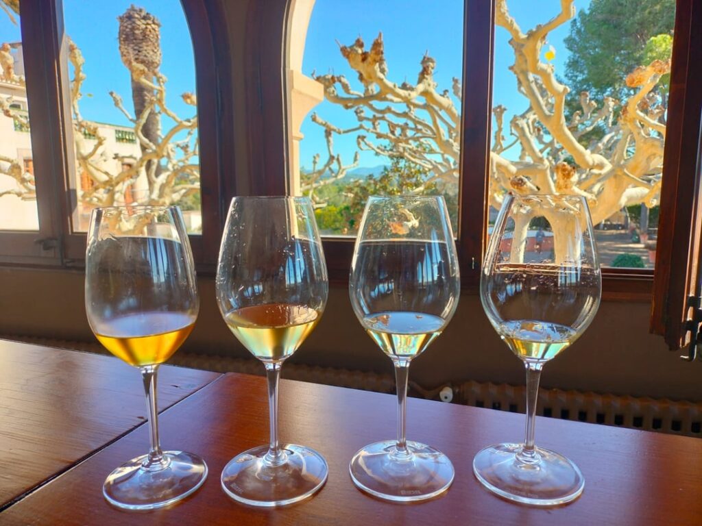 Tasting at Nadal (Corpinnat)