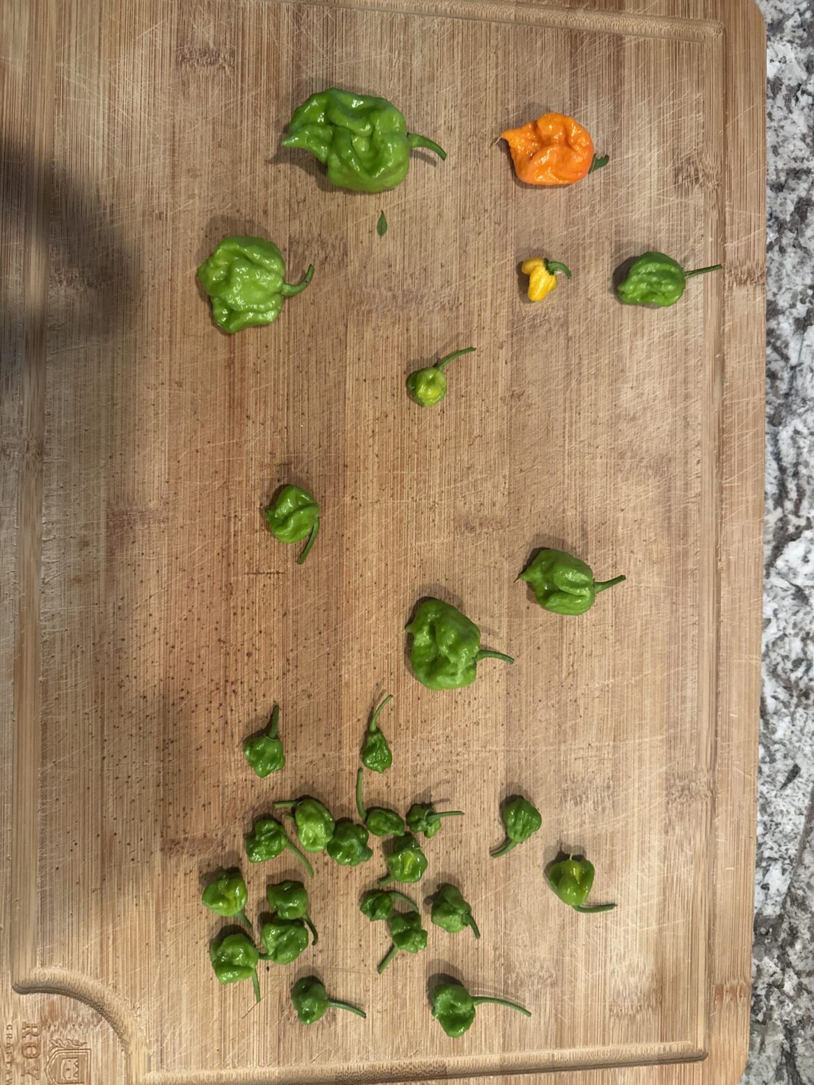 Are these worth keeping?/recipes(Carolina reaper)