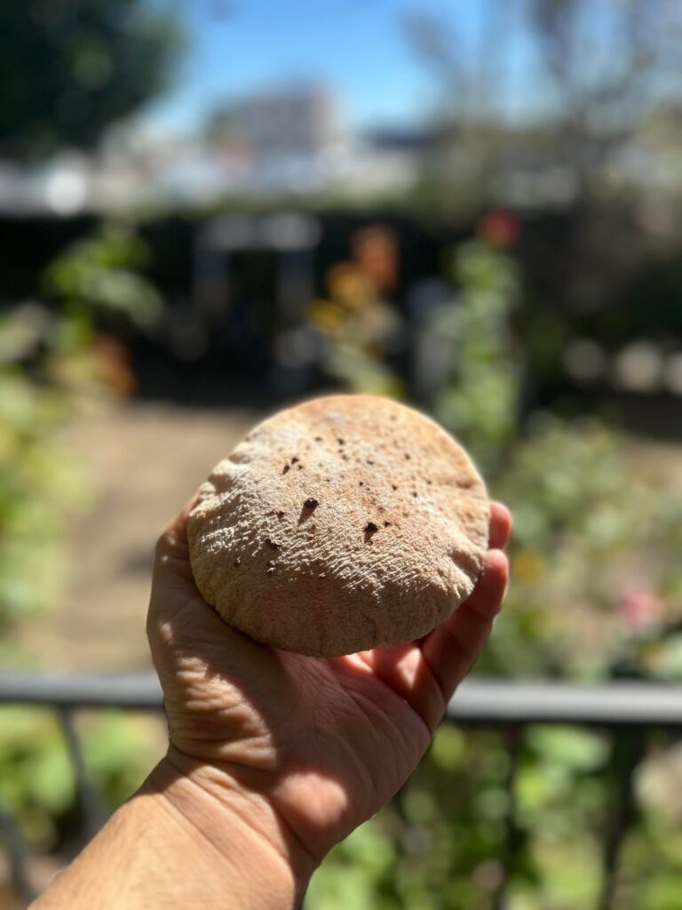 Camello Pop Up Week 3! Camello Pop Up Week 3!