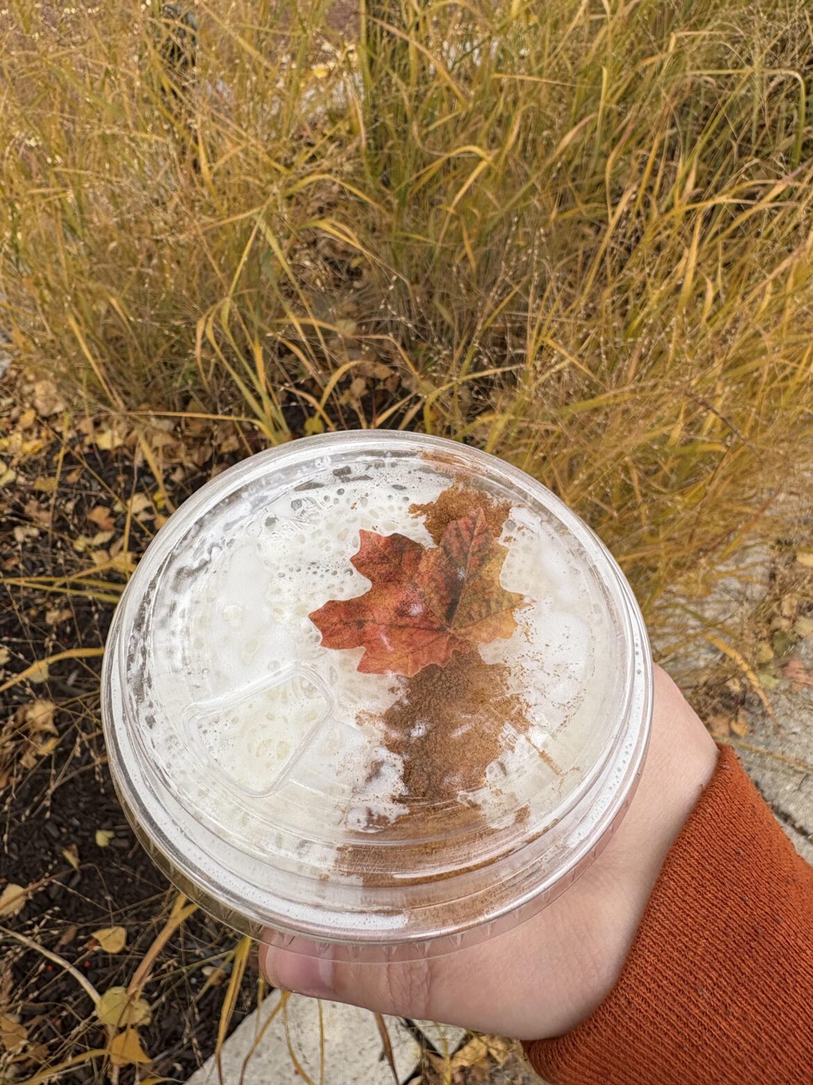 Maple Cardamom iced coffee