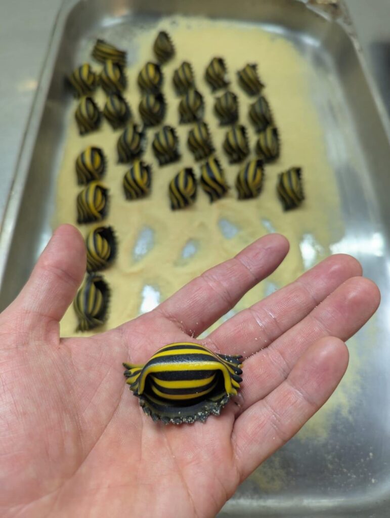 Stripped agnolotti. Believe it or not it’s vegan too. Stuffed with caramelised celeriac and black autumn truffle. 🐝🐝