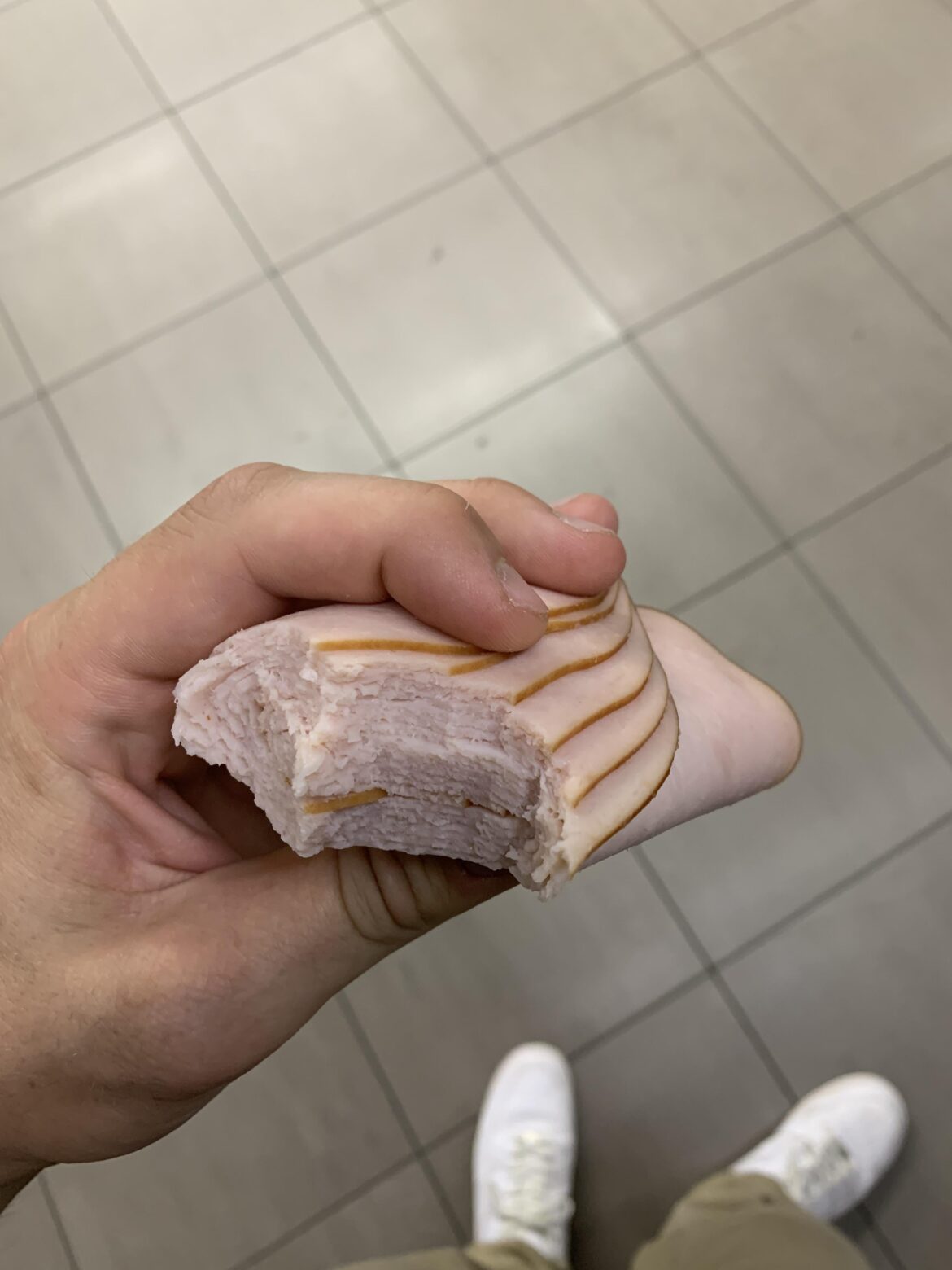 Turkey protein sandwich