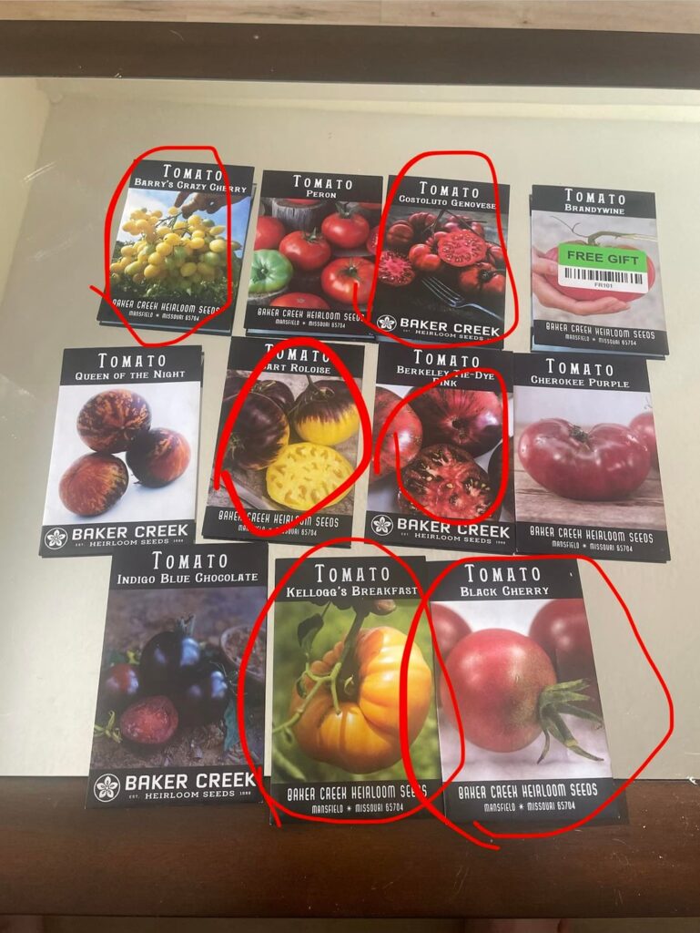 Next year’s lineup