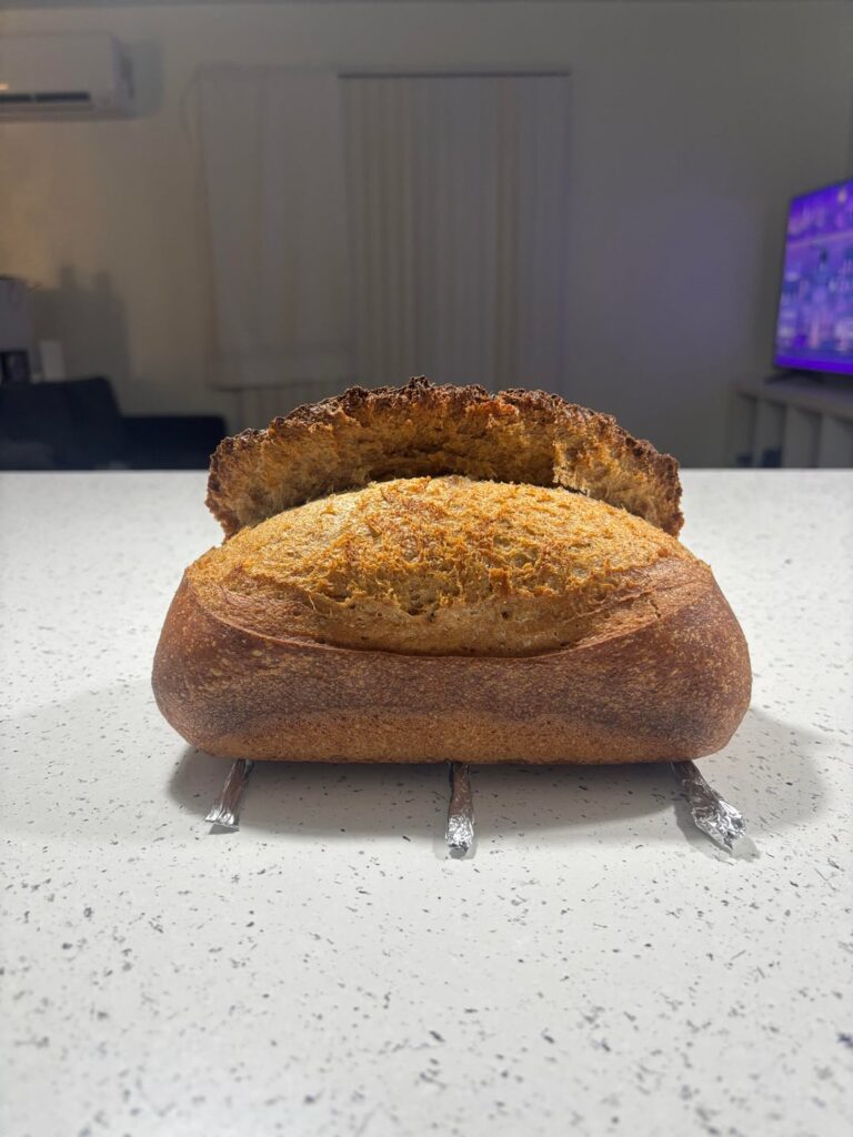 Is my ear big enough?