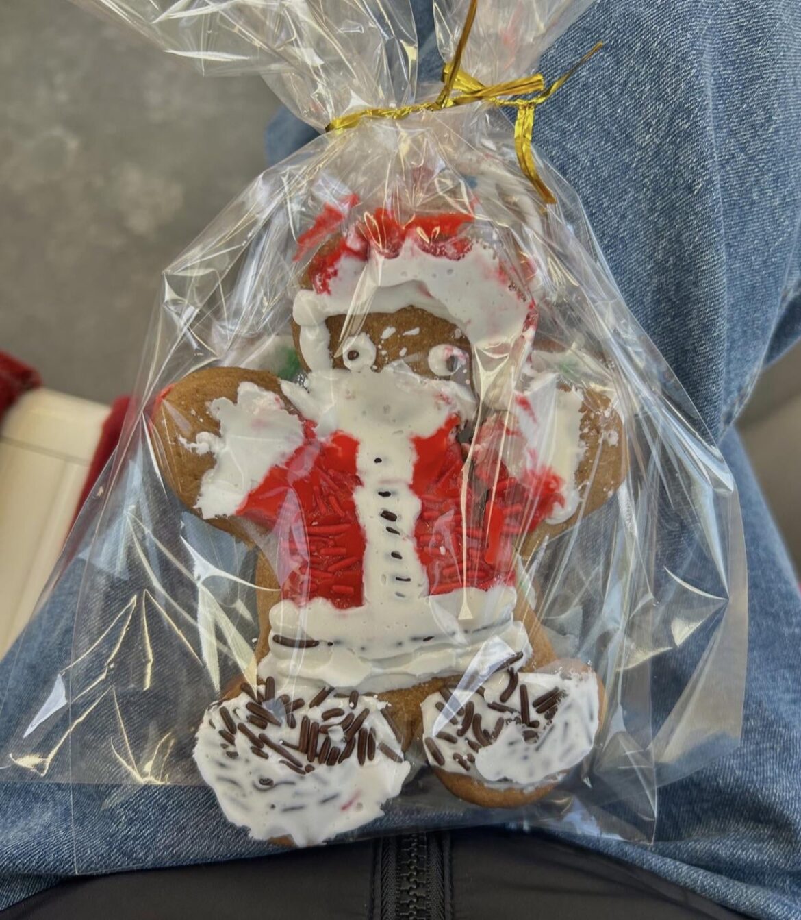 My santa cookie I made got squished in the packaging