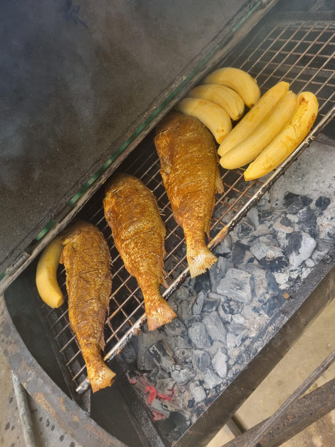 Croaker fish and plantains