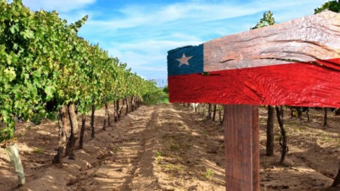 Chilean agri exports SA’s biggest US tariff competitor Chilean agri exports SA’s biggest US tariff competitor