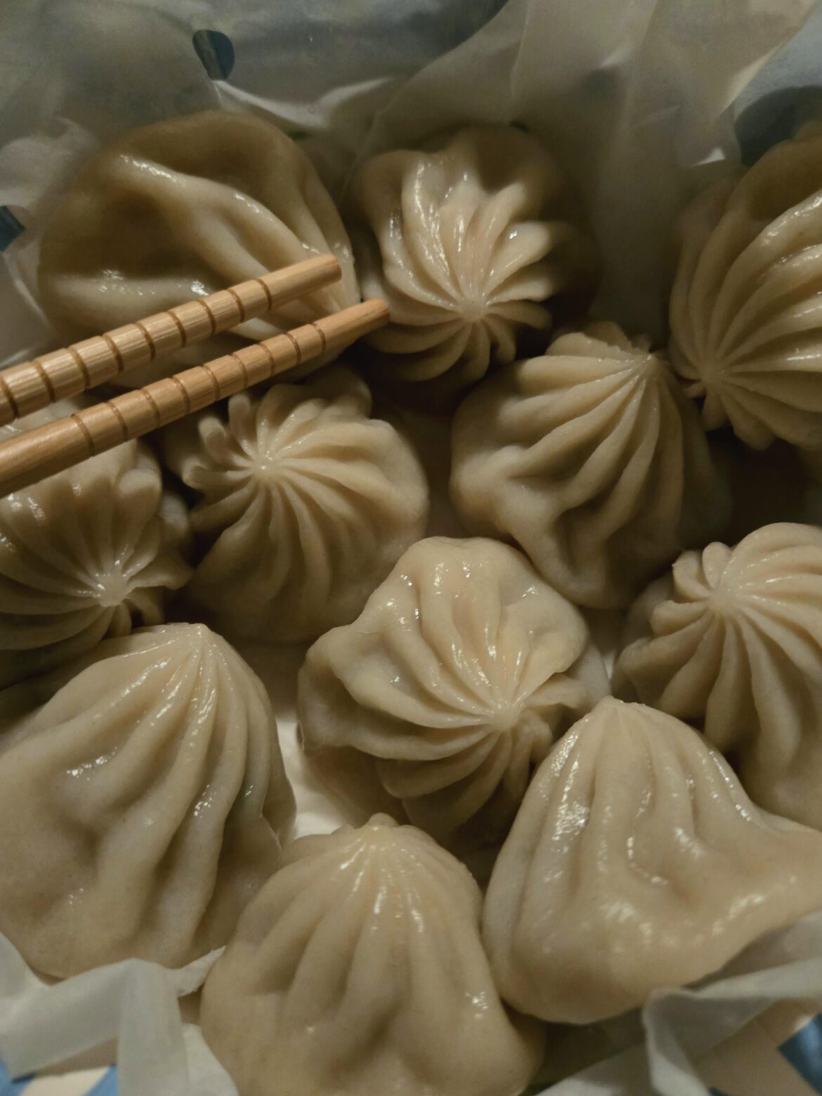 Best low-cal dumpling? (You actually like?)