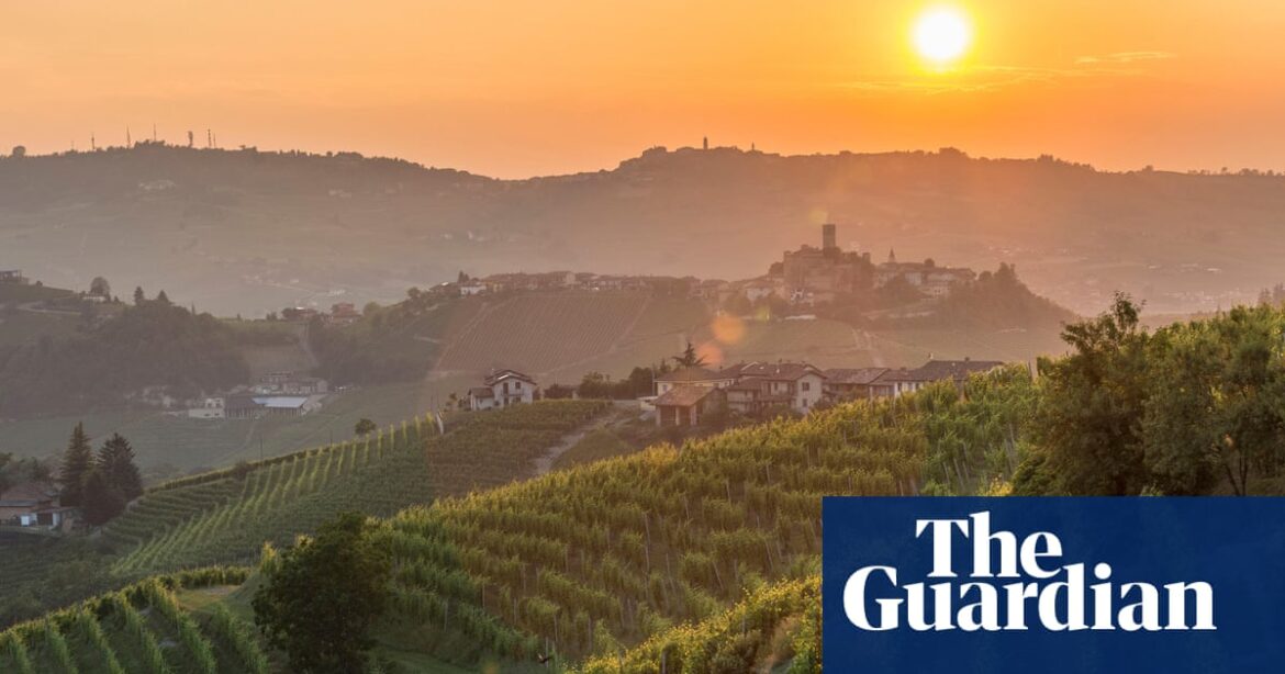Think autumn, think Piedmont – wine from ‘the foot of the mountain’ | Wine
