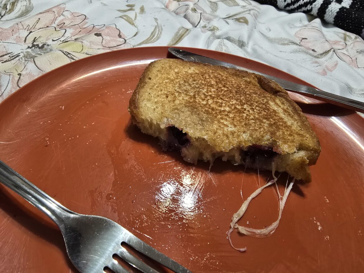 I made a blackberry grilled cheese with gouda and havarti cheese