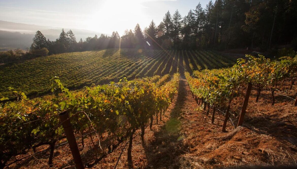 California Wine Exchange Bringing Wine Tasting Concept to Burbank