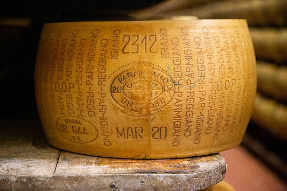 A 42kg wheel of cheese aging at Caseificio Gennari. Picture: Laura Maniscalco.