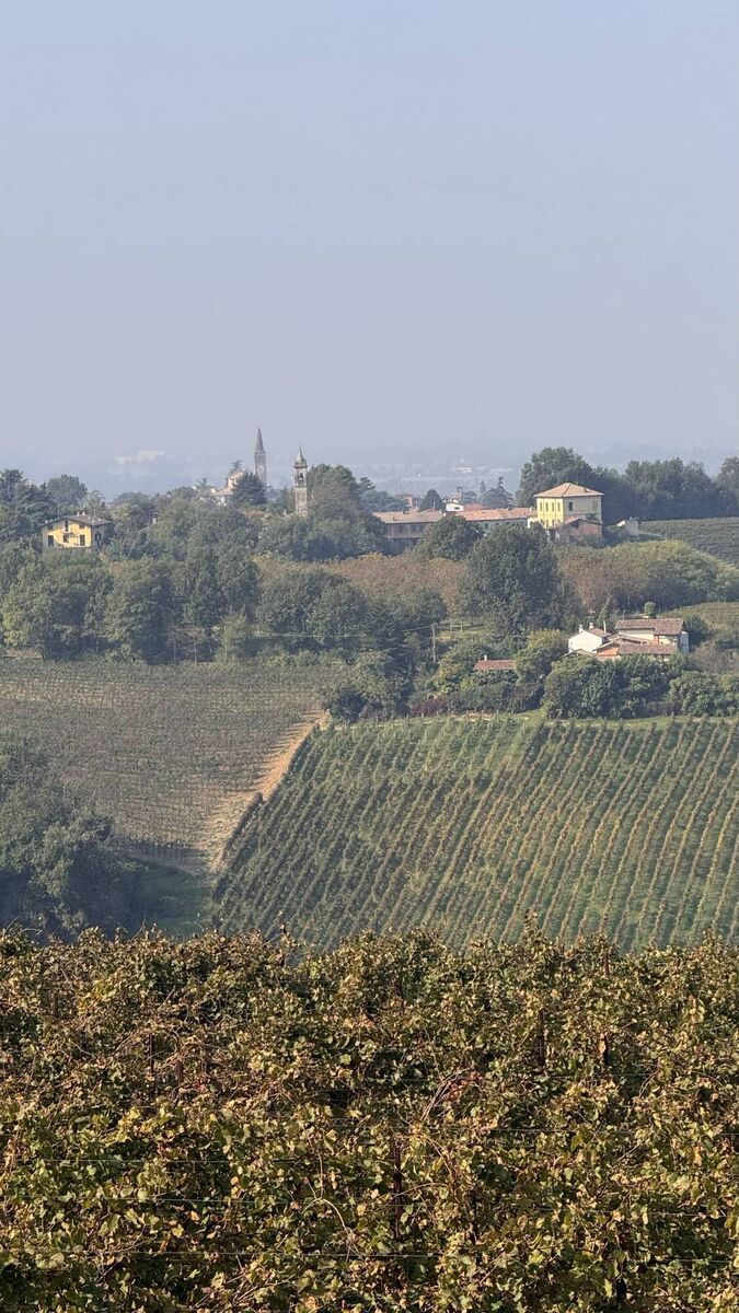 The view of the surrounding land from Tenuta Mazzolino boutique winery in Oltrepò Pavese. Picture: Breda Graham.
