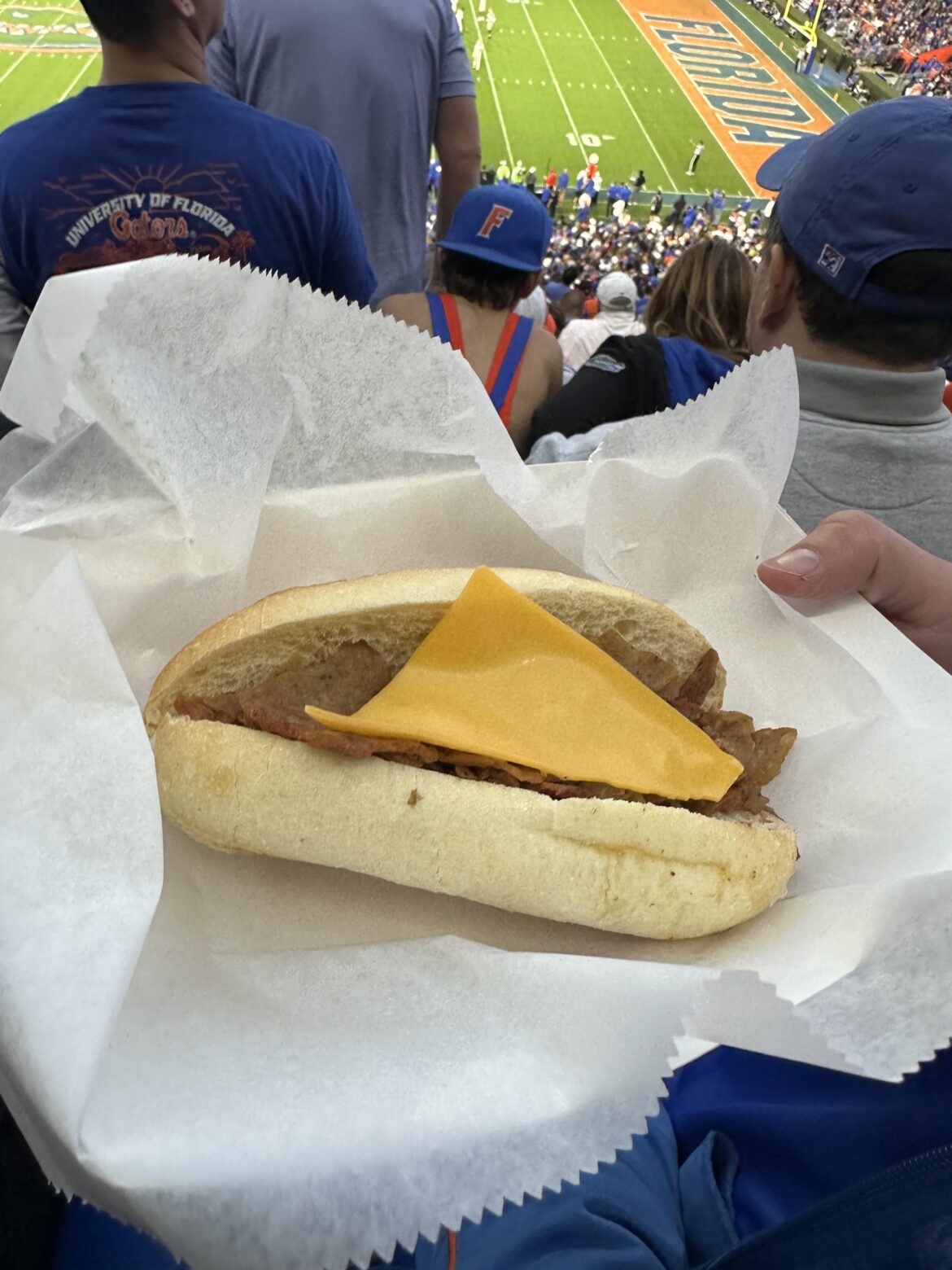 Philly cheesesteak at “The Swamp”