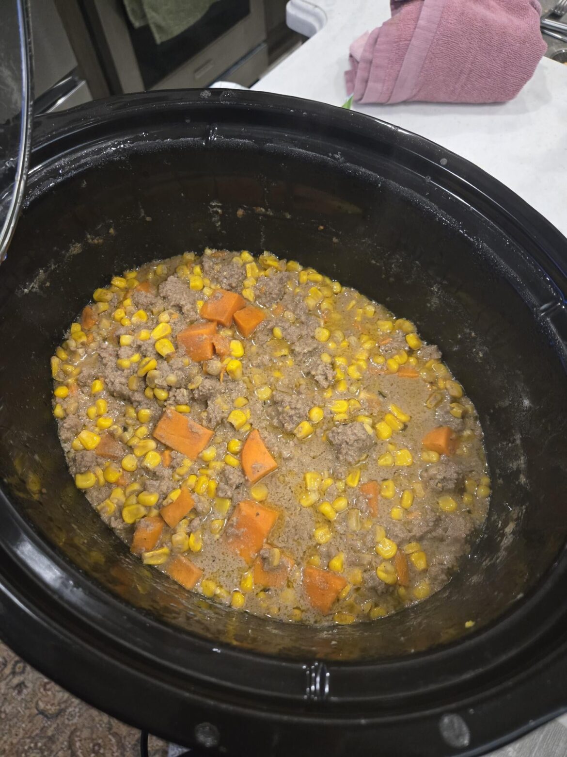 My wife tried a chatGPT crockpot recipe...