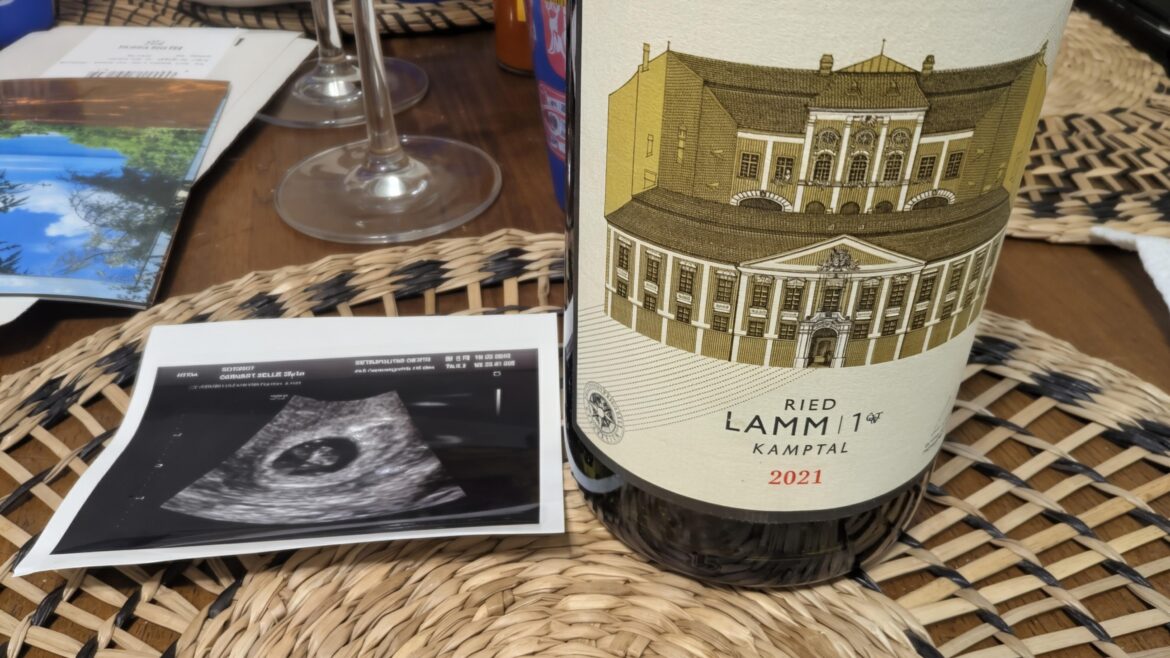 21 Schloss Gobelsburg Ried Lamm Grüner Veltliner 21 Schloss Gobelsburg Ried Lamm Grüner Veltliner