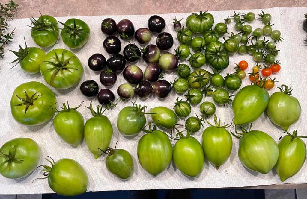 Final Haul for the season