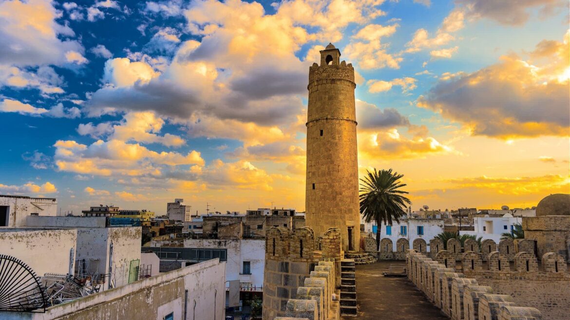 Falling Prices and Fraud Claims Cloud Tunisia’s Olive Oil Boom Falling Prices and Fraud Claims Cloud Tunisia’s Olive Oil Boom