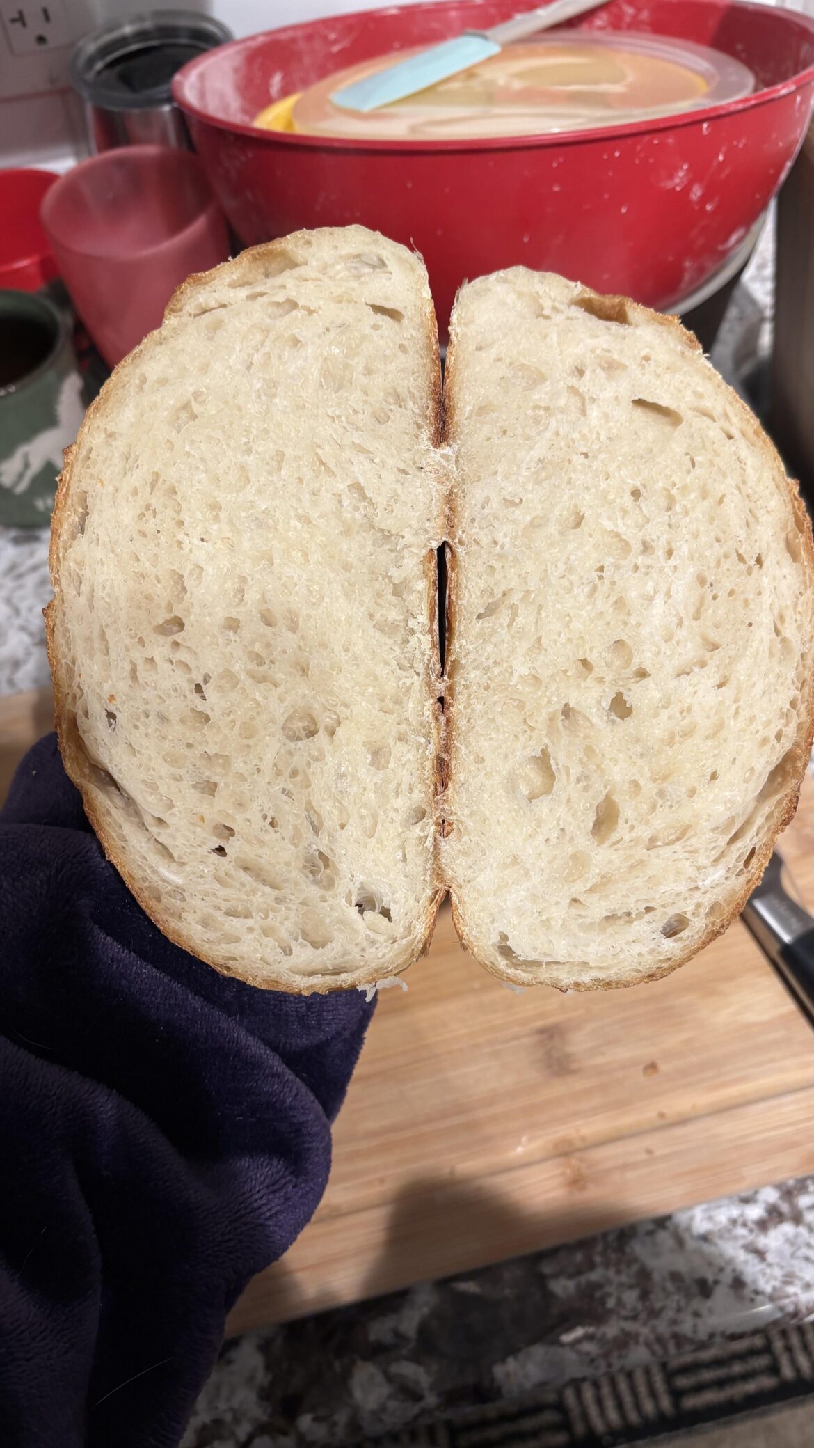 How’s my crumb?