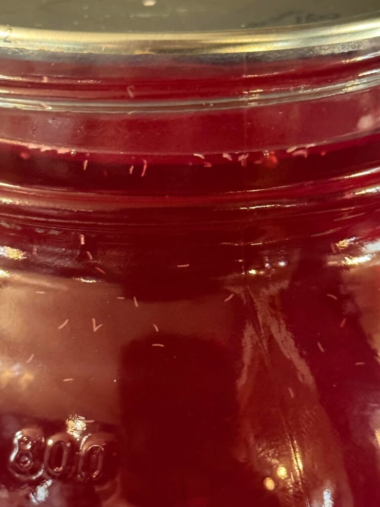 homemade cranberry juice!!