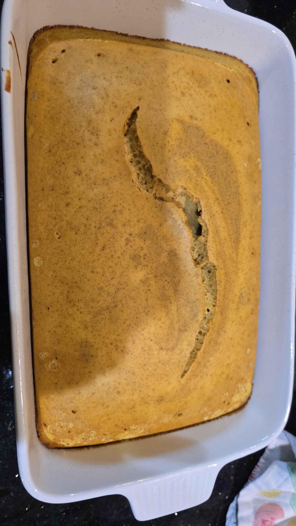 I made u/gaytara pumpkin bread (pie)