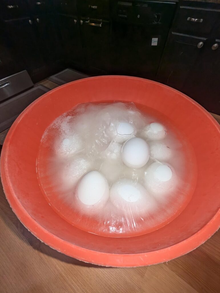 Steamed eggs, never deviled.