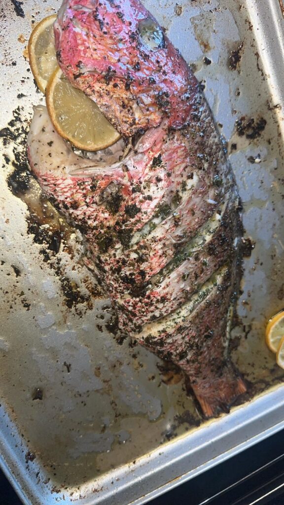 Whole red snapper