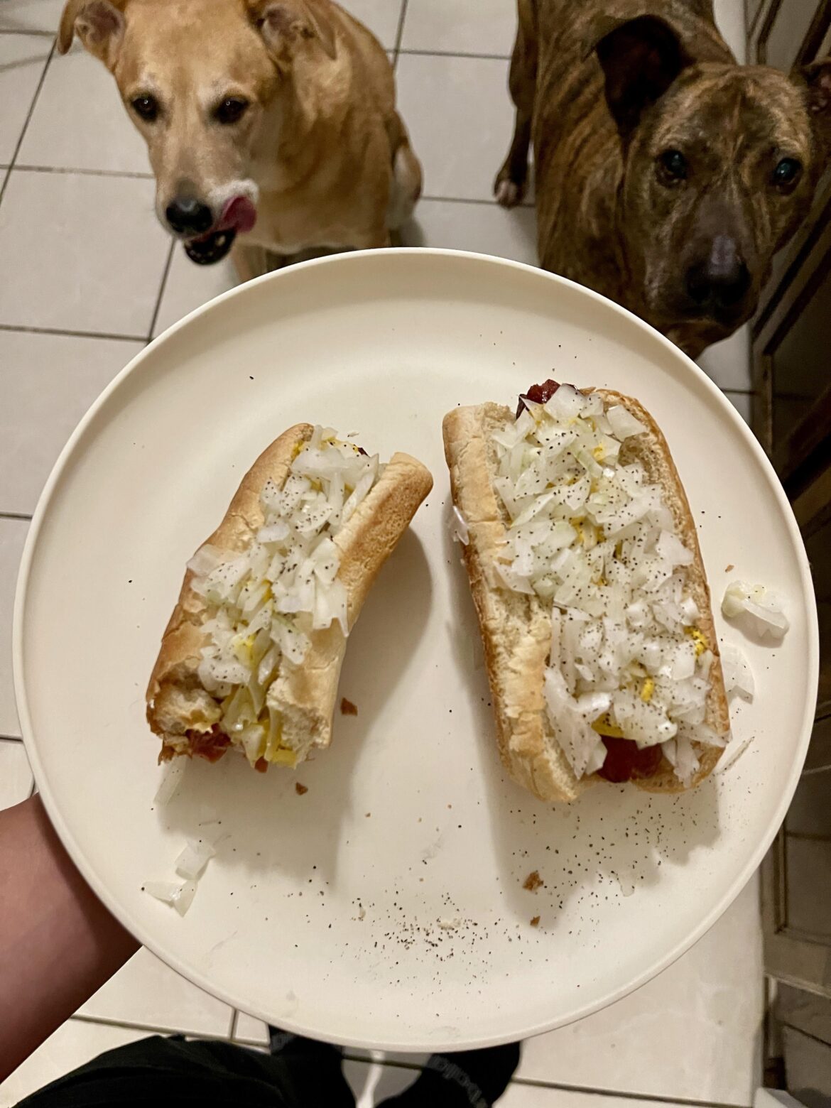 S tier onion delivery vehicle