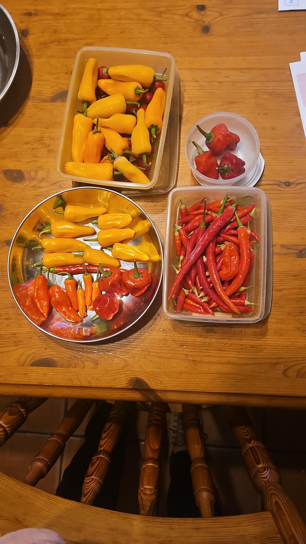 Any recommendations for hot sauce recipes?