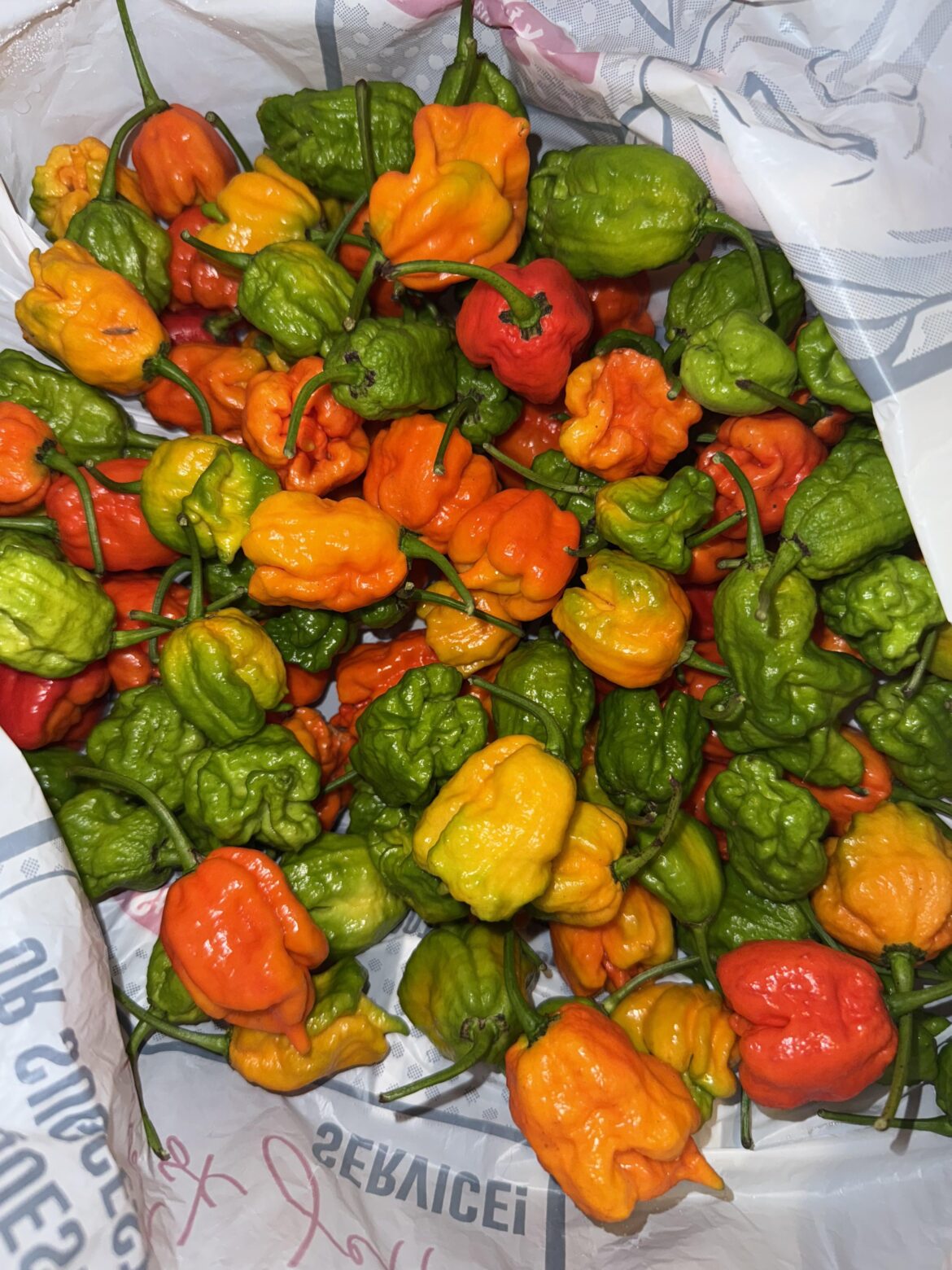 Reapers and Scorpions